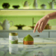 Das perfekte Matcha-Sahne-Topping für deine Desserts